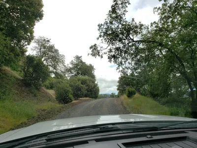 20190520_105437 (Large).jpg